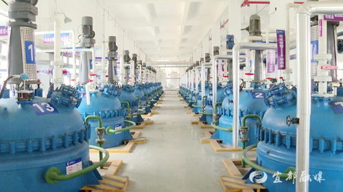 宜昌誠凱化工科研投入超500萬元，新興能源技術(shù)研發(fā)成新引擎